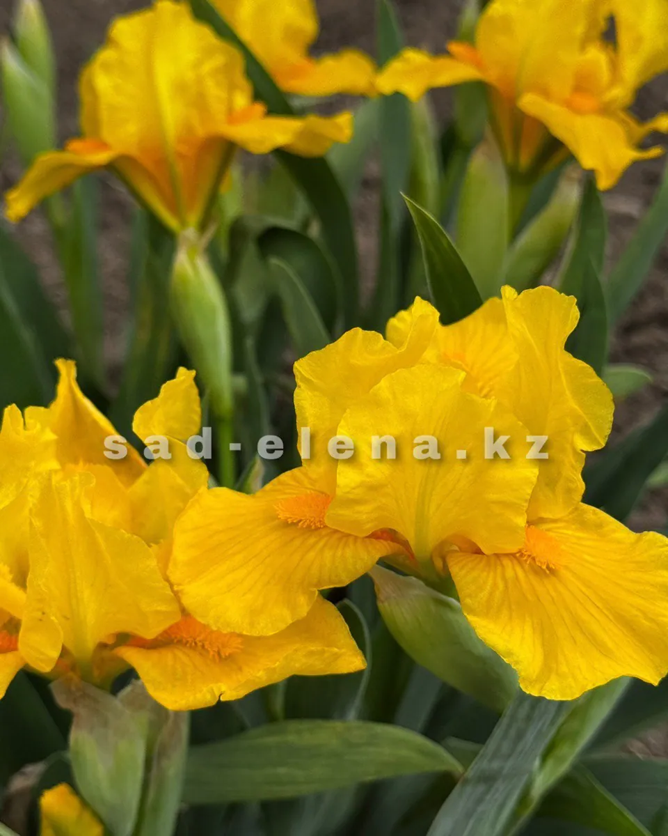 №032.