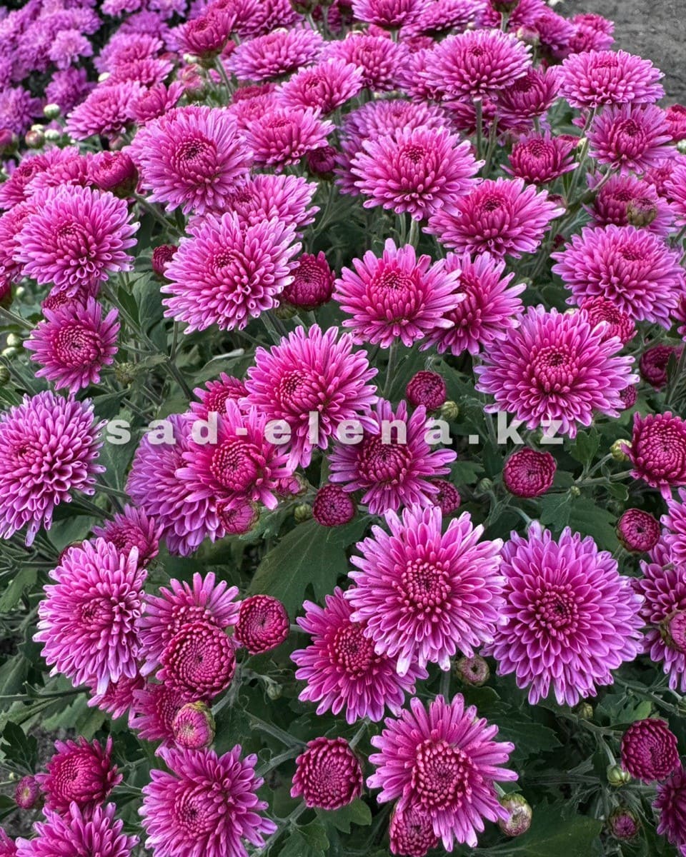 photo_2025-10-02_21-29-11