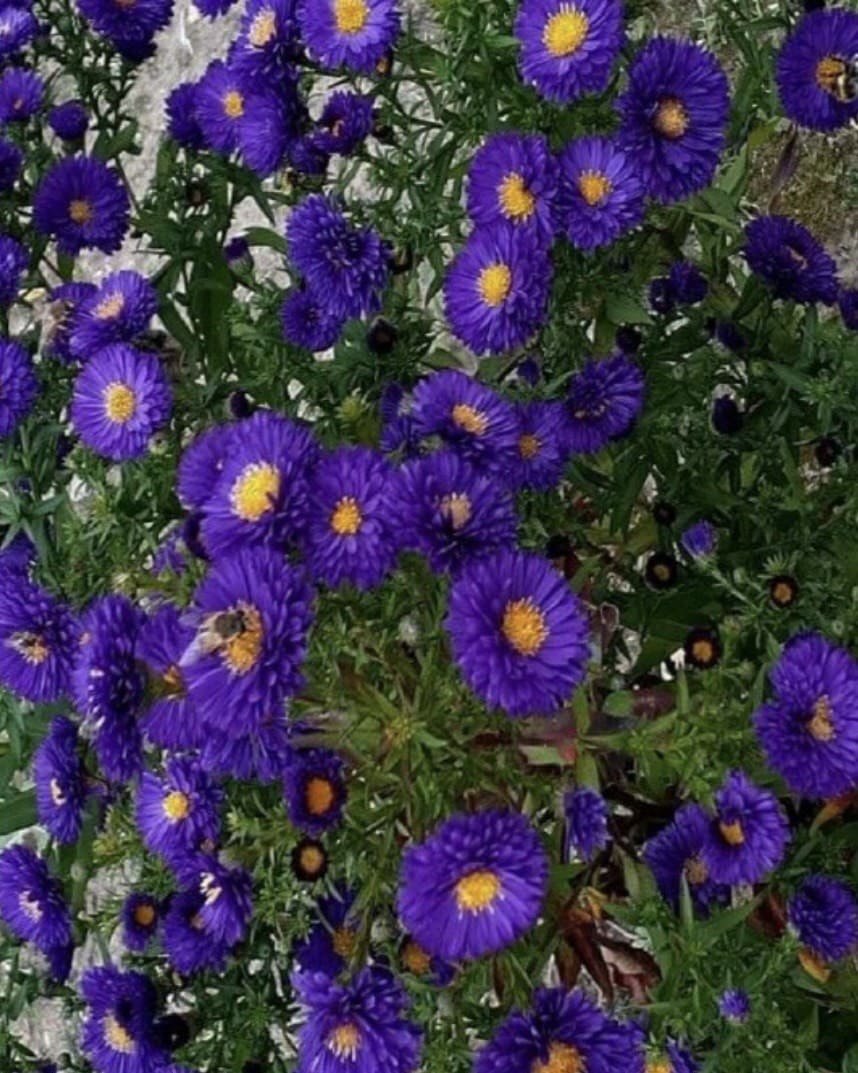 photo_2025-11-02_21-33-33